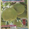 ［20名当選］千葉県産の梨が当たる！元気半島、ちば！プレゼントキャンペーン